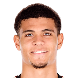 Miles Robinson