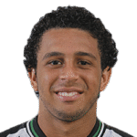Wellington Nem
