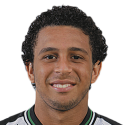Wellington Nem
