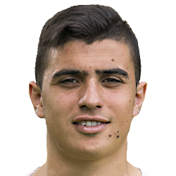 Karim Hafez