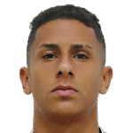 Bruno Tubarão